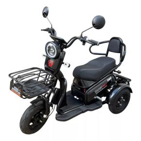 Triciclo Eletrico Adulto Scooter Passeio Mobilidade - Family 500w