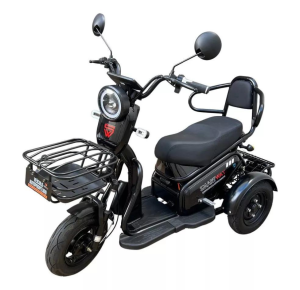 Triciclo Eletrico Adulto Scooter Passeio Mobilidade - Family 500w