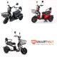 Triciclo Eletrico Adulto Scooter Passeio Mobilidade - Family 500w