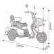 Triciclo Eletrico Adulto Scooter Passeio Mobilidade - Family 500w